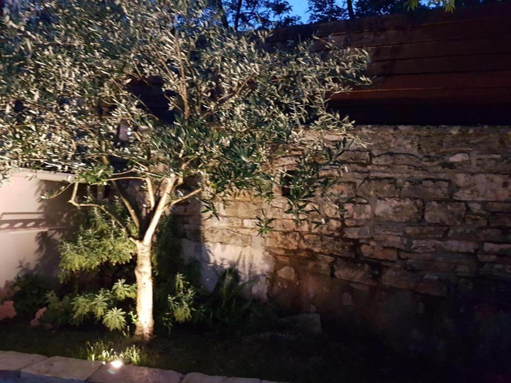 Brajkovici  Haus Delmaヴィラ エクステリア 写真